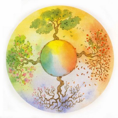 La Roue de la Vie Cycle de la Vie